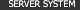 Server System